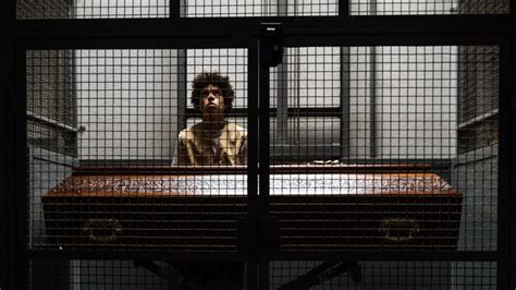 Sonhar com Leões 2025